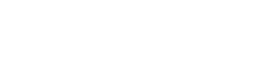 Leveled Up Ventures